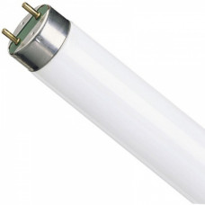 Лампа люминесцентная G13 T8 18Вт 840 600мм Osram Lumilux L (25)