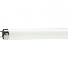 Лампа люминесцентная G13 T8 18Вт 54-765 600мм Philips TLD (25)